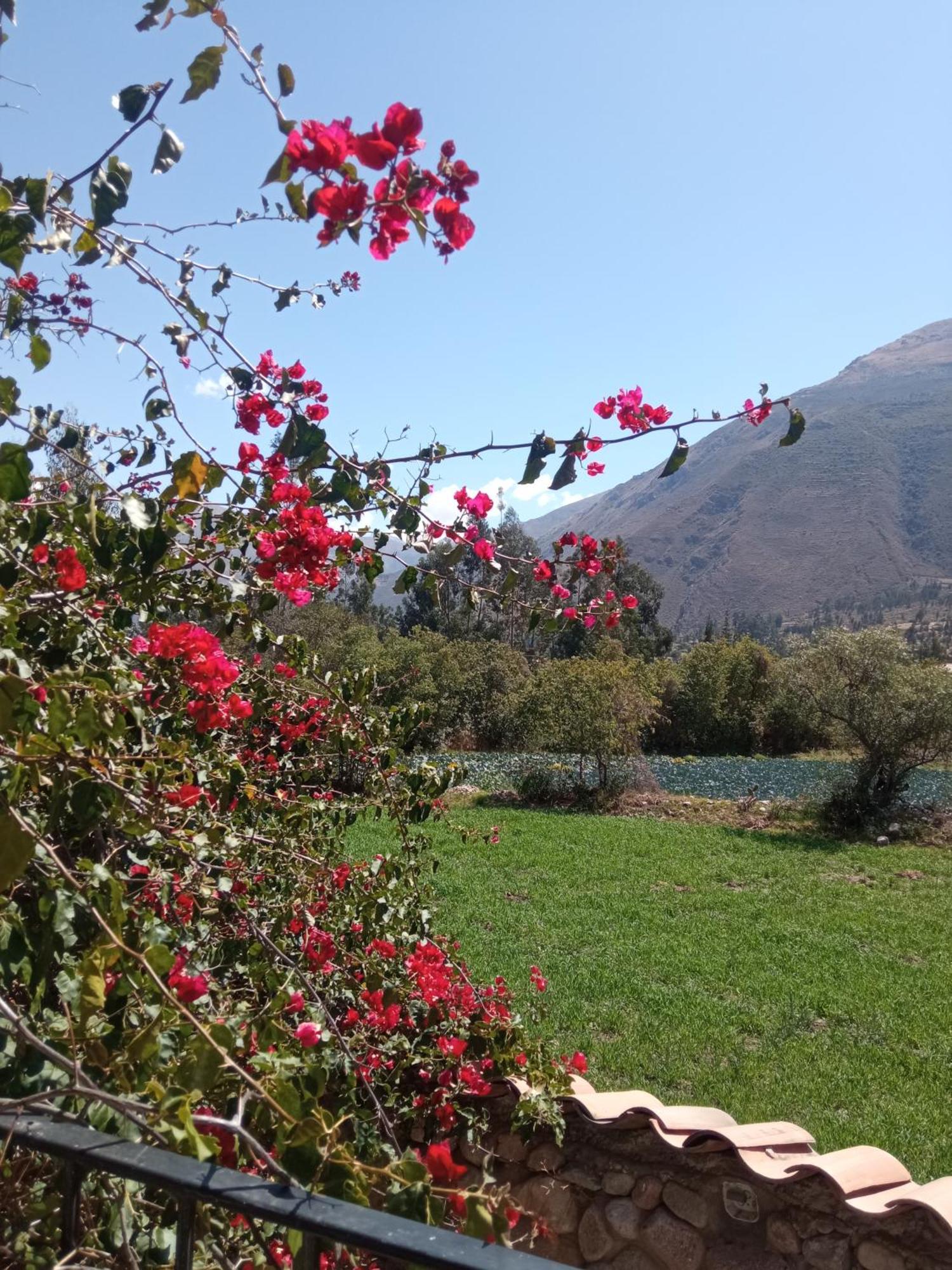 Casa De Mama Valle - Urubamba Extérieur photo